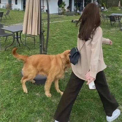 爱的永恒勇气